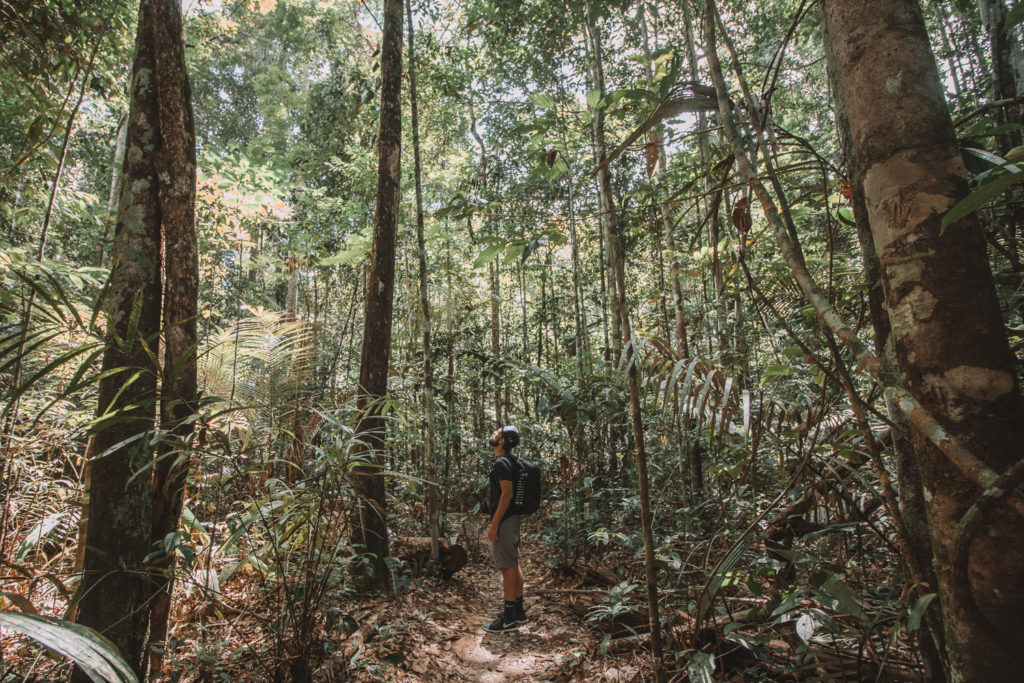 Uma viagem de dois dias pela Floresta Amazônica Flymaniacs