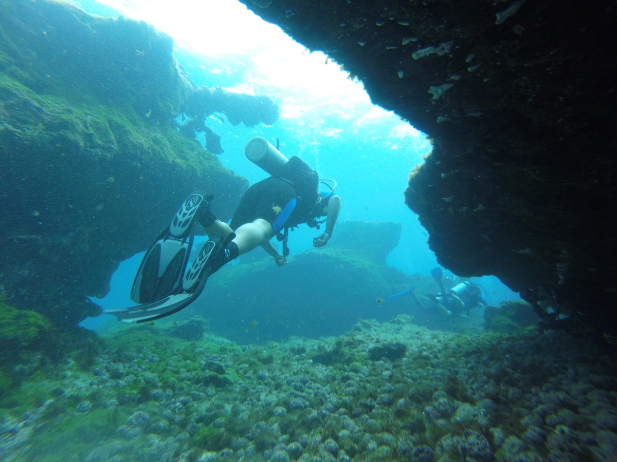 Fazer mergulho de cilindro é uma das melhores atrações de Fernando de Noronha (Foto: Flymaniacs)