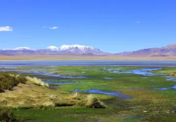 O Salar de Tara está a 4.300 metros de altitude e é formado por pedras, água e vegetação (Foto: Flymaniacs)