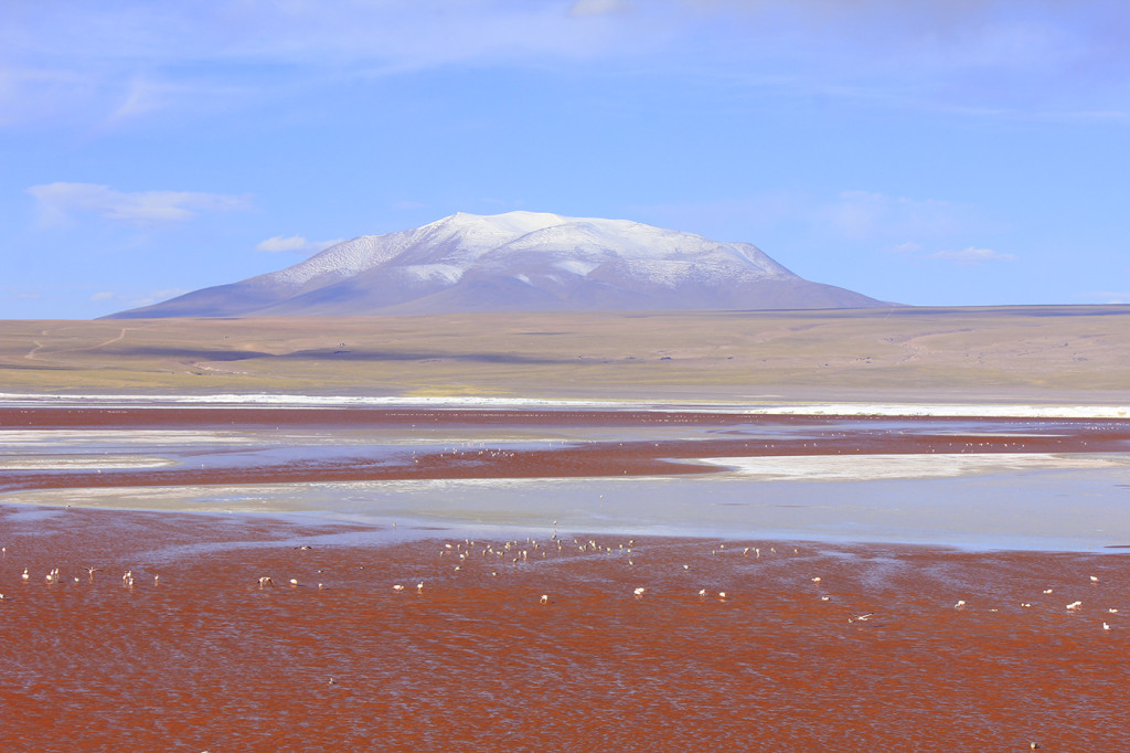 Laguna Colorada e os seus mais de 30 mil flamingos (Foto: Flymaniacs) 