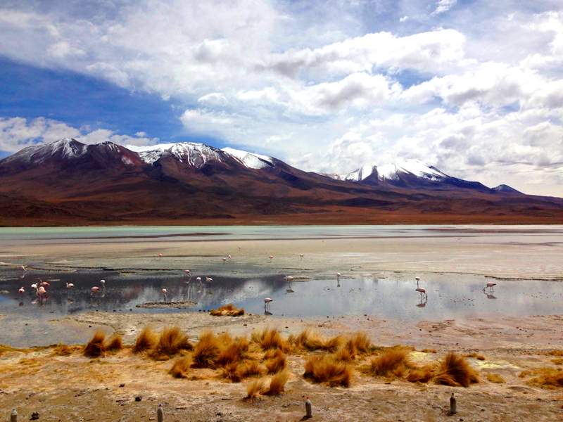 A Laguna Edionda é uma das lagoas altiplânicas da Bolívia (Foto: Flymaniacs)