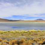 A região é alimentada por uma pequena vertente de água de um cânion, é cheia de fauna e flora andina (Foto: Flymaniacs)