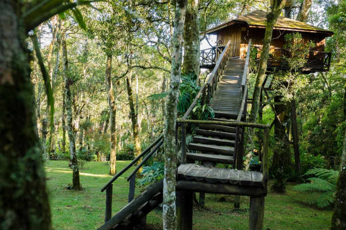 Casa na árvore em Monte Verde - MG (Foto: Airbnb)