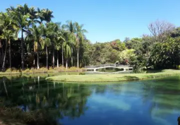 (Foto: Instagram/@inhotim)