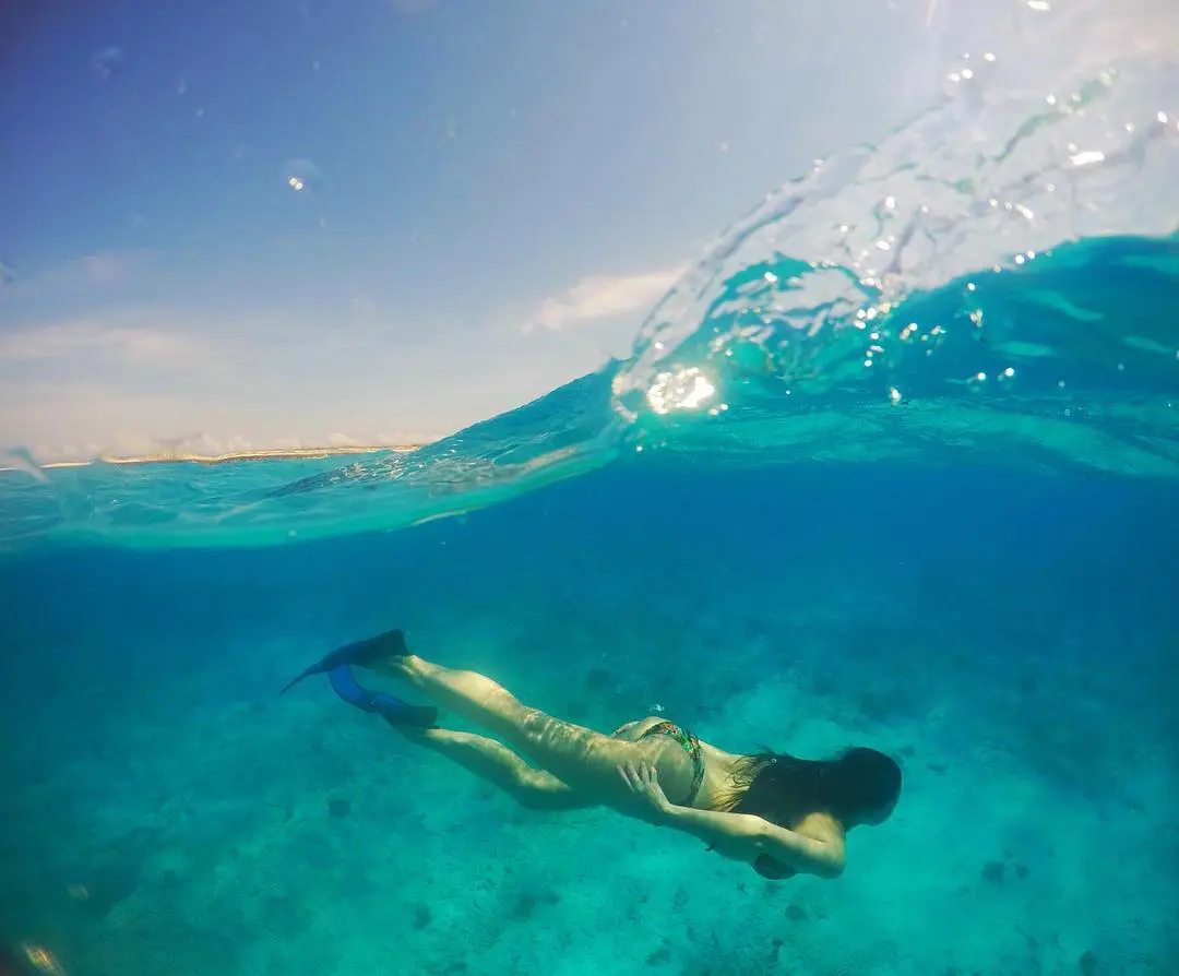 Não deixe de levar a sua máscara de snorkel e pé de pato (Foto: Flymaniacs)