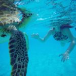 Aproveite o passeio em Klein Curaçao para ver tartarugas de perto (Foto: Flymaniacs)