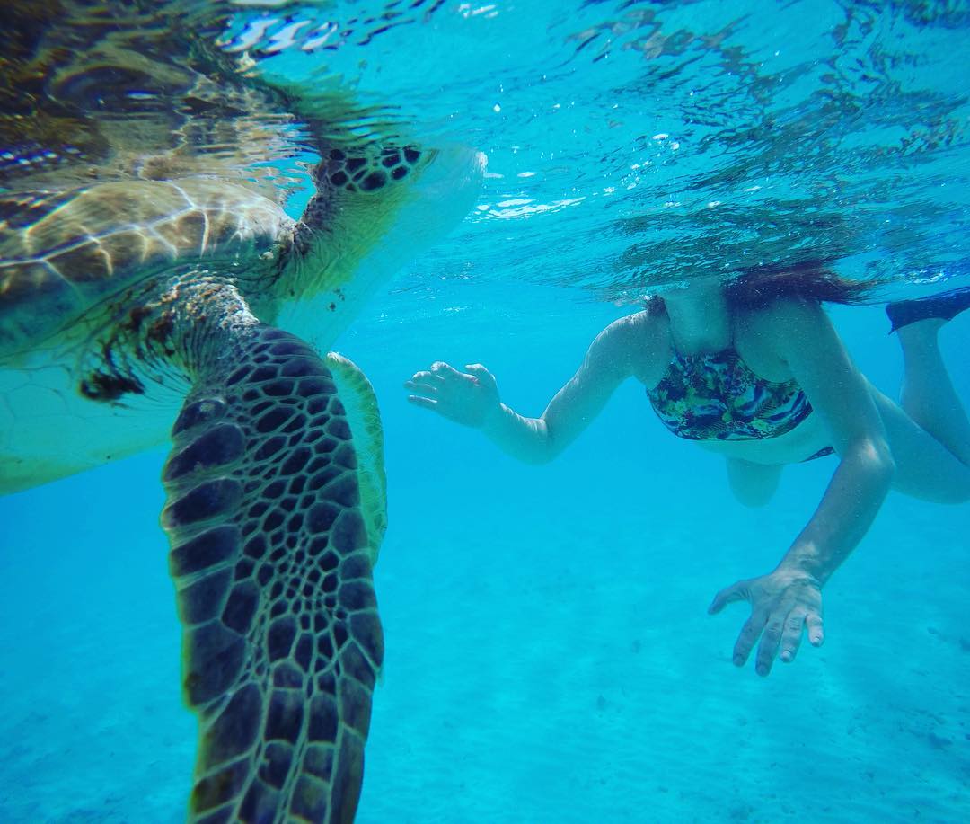 Aproveite o passeio em Klein Curaçao para ver tartarugas de perto (Foto: Flymaniacs)